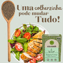 Cx 20 Tempero Funcional 100% Natural CoCook Frango Sabor Myanmar 75g