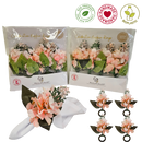 Kit 4 Porta Guardanapo Flor Boca de Leão