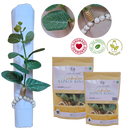 Kit 6 ou 12 Porta Guardanapo Tropical Eucalipto de Folhas Verdes