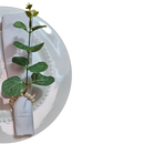 Kit 6 ou 12 Porta Guardanapo Tropical Eucalipto de Folhas Verdes