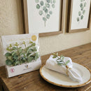 Charlo Eucalyptus Branch Napkin Holder - 4 units