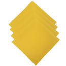 Kit 4 Guardanapo de Tecido Oxford Estampa Lisa 40cmx40cm