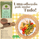 Cx 20 Tempero Funcional 100% Natural CoCook Frango Sabor Myanmar 75g