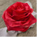 Maison Charlo Kit 4 Porta Guardanapo Botão de Rosa Colombiana Pink