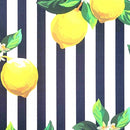 Kit 4 Jogos Americanos Limão Siciliano da Charlô 43cmx34cm