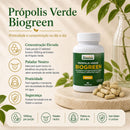 BioProMais Biogreen Própolis Verde em Tabletes 60 Unidades | Suplemento Prático para Imunidade