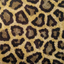 Kit 4 Jogos Americanos Onça Selvagem 43cmx34cm