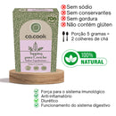 CoCook Especiaria Natural Tempero Cerviche Sabor Equatoriano 75g