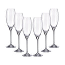 Set 6 Taças Para Champanhe Carduelis 290ml Bohemia Crystalite