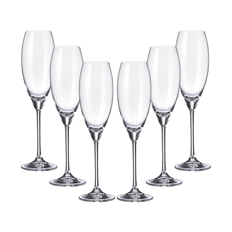 Set 6 Taças Para Champanhe Carduelis 290ml Bohemia Crystalite