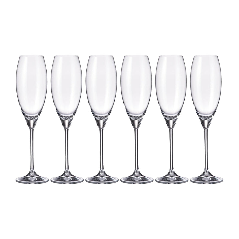 Set 6 Taças Para Champanhe Carduelis 290ml Bohemia Crystalite