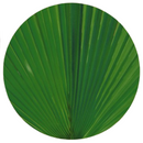 Sousplat Verde Folhagem Decorativa Mesa Posta Sala de Jantar