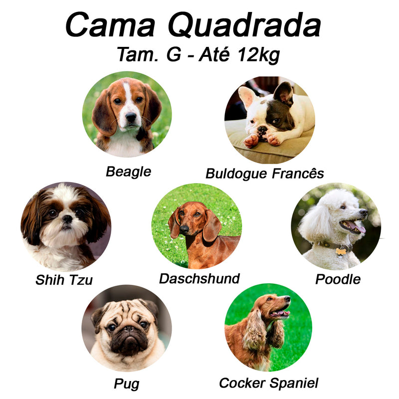 Cama Quadrada para Cachorro ou Gato Luppet Luxo Azul Poa Tamanho:G