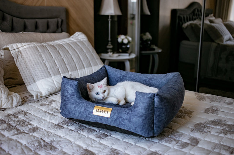 Cama Quadrada para Cachorro ou Gato Luppet Luxo Azul Petróleo