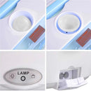 Marmita Elétrica 12V para Carro com Divisórias - Lunch Box