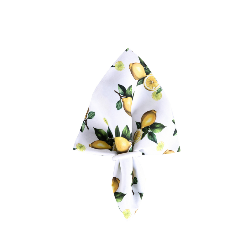 Kit 2 Guardanapos de Tecido Estampado Allegra 2 Peças 35cm x 35cm 100% Poliést