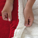 Coberdrom Cobertor Dupla Face 1 Peça Queen Manta Soft e Sherpa de Carneiro - Ma