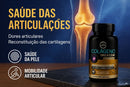 Colágeno Tipo 2 com Glucosamina Condroitina MSM 60 Cápsulas