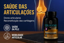 Colágeno Tipo 2 com Glucosamina Condroitina MSM 60 Cápsulas